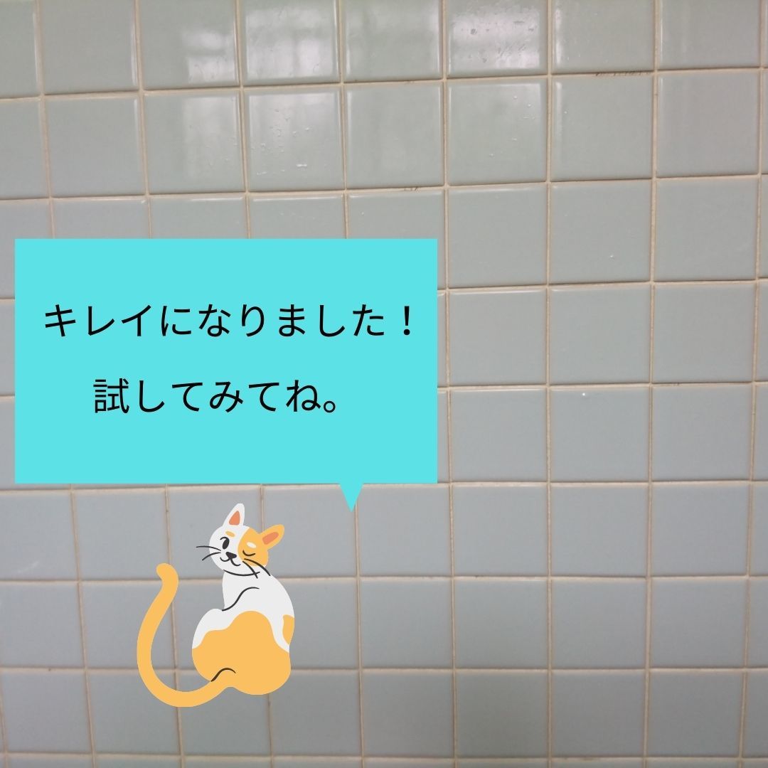 キレイになりました!