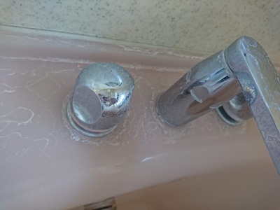 DSC_0009_コピー_コピー