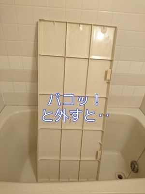 PicsArt_09-25-08.44.13_コピー