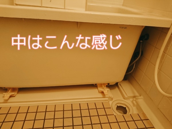 PicsArt_09-25-08.49.33_コピー